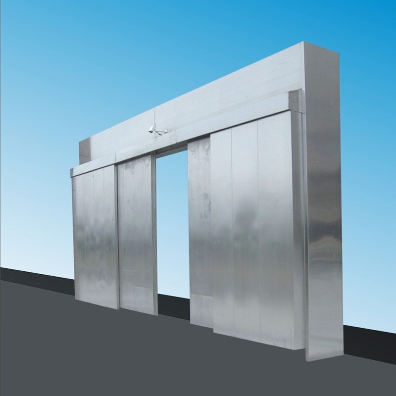 Electric Sliding Door